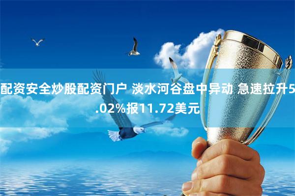 配资安全炒股配资门户 淡水河谷盘中异动 急速拉升5.02%报11.72美元