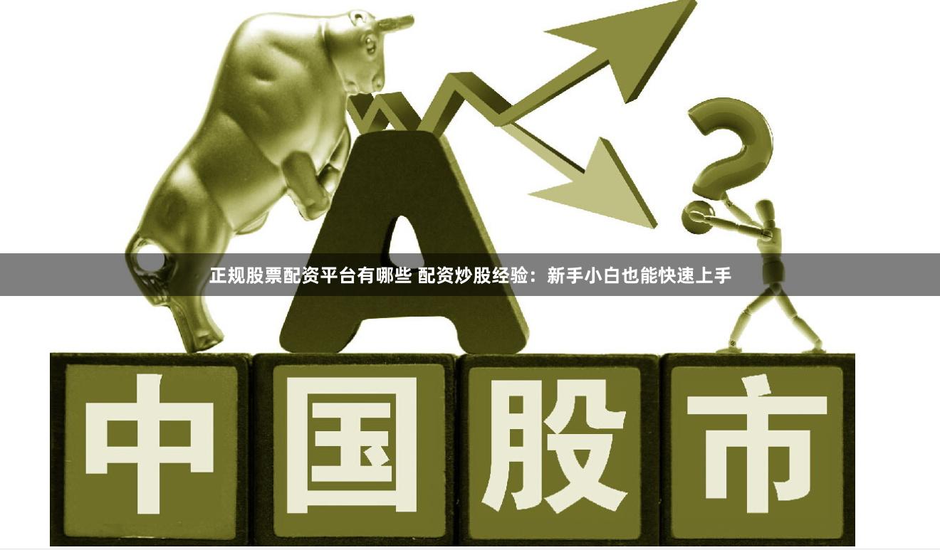 正规股票配资平台有哪些 配资炒股经验：新手小白也能快速上手