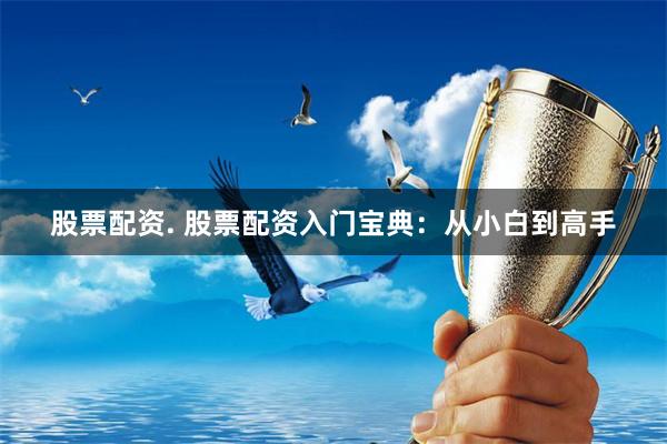股票配资. 股票配资入门宝典：从小白到高手